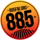885FM ORG 885 Grid Beveled Vector iterations Colored web 10tilt7