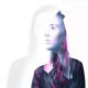 amy shark 300x300
