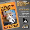 Looking for a furry quiet composer kitty - check out MOZART our Pet of the Week!!