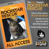 Get ready to hold this kitty closer - it's TINY DANCER - our PET OF THE WEEK!
