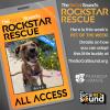 Looking for a furry ray of sunshine - check out RAYA - our PET OF THE WEEK!