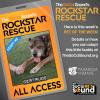 GERTRUDE can’t wait to wrap her paw around your heart - our PET OF THE WEEK from Pasadena Humane.