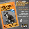 08.20: PET OF THE WEEK - BIGGS!
